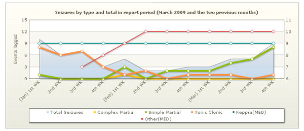 Seizure Chart